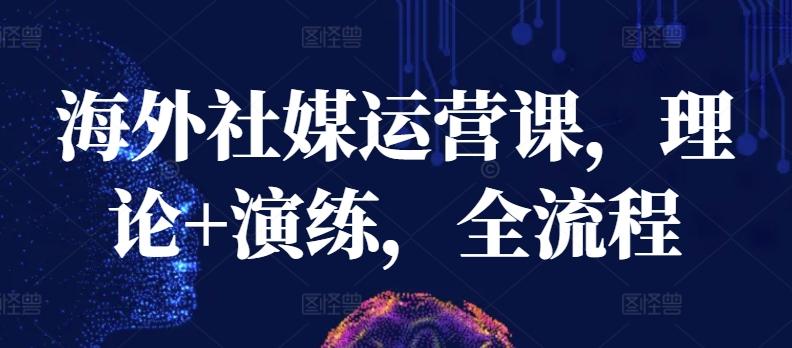 海外社媒运营课，理论+演练，全流程-木白网创