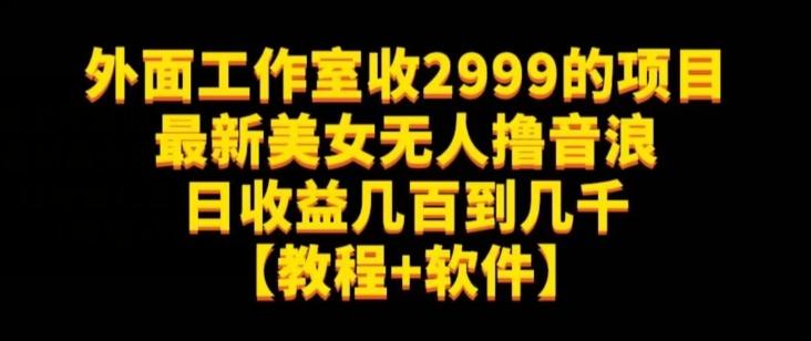 外面工作室收2999的项目最新美女无人撸音浪日收益几百到几千【教程+软件】（仅揭秘）-木白网创