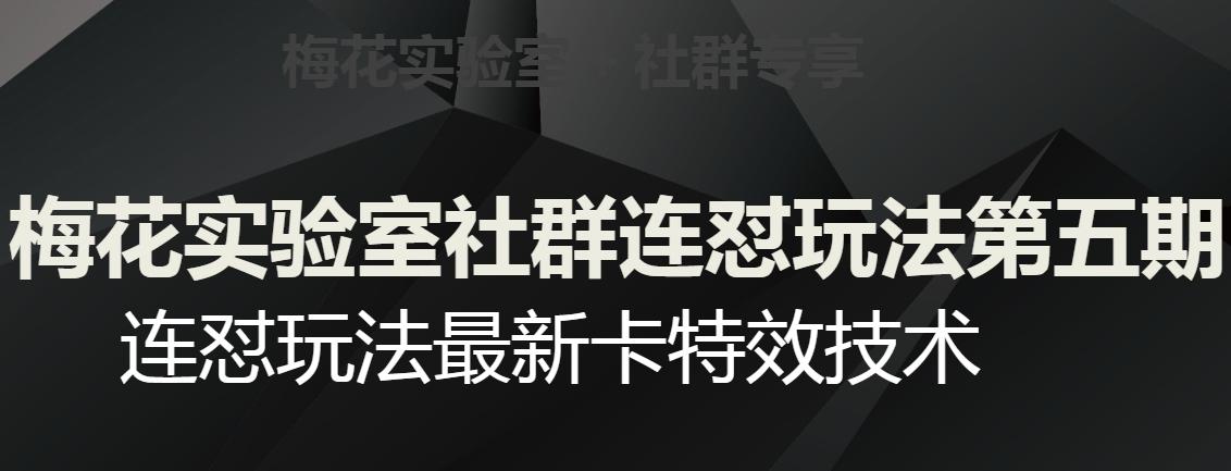 梅花实验室社群连怼玩法第五期，视频号连怼玩法最新卡特效技术-木白网创