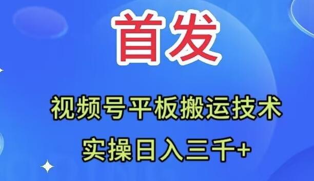 全网首发：视频号平板搬运技术，实操日入三千＋-木白网创