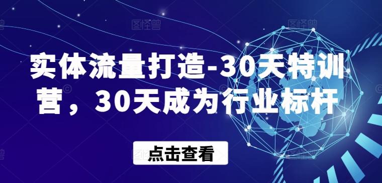 实体流量打造-30天特训营，30天成为行业标杆-木白网创
