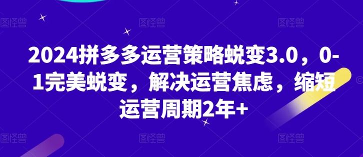 2024拼多多运营策略蜕变3.0，0-1完美蜕变，解决运营焦虑，缩短运营周期2年+-木白网创