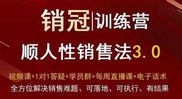 爆款！销冠训练营3.0之顺人性销售法，全方位解决销售难题、可落地、可执行、有结果-木白网创