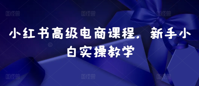 小红书高级电商课程，新手小白实操教学-木白网创