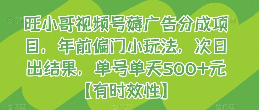 旺小哥视频号薅广告分成项目，年前偏门小玩法，次日出结果，单号单天500+元【有时效性】-木白网创