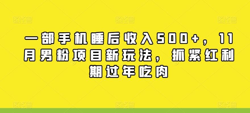 一部手机睡后收入500+，11月男粉项目新玩法，抓紧红利期过年吃肉-木白网创