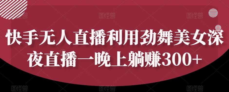 快手无人直播利用劲舞美女深夜直播一晚上躺赚300+-木白网创