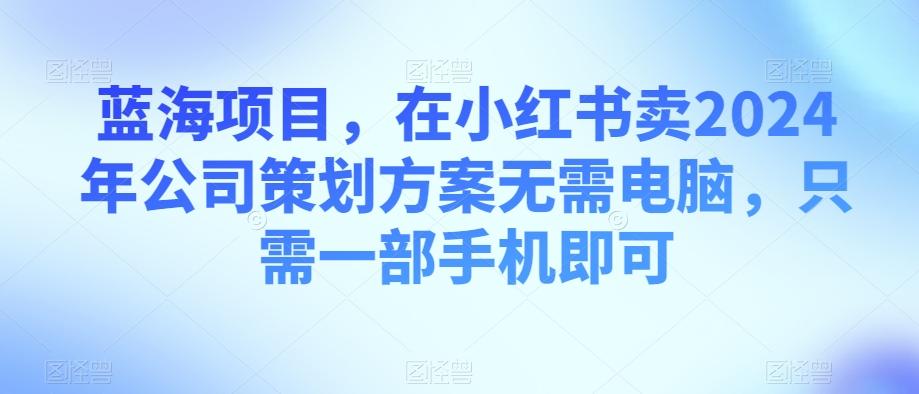 蓝海项目，在小红书卖2024年公司策划方案无需电脑，只需一部手机即可-木白网创