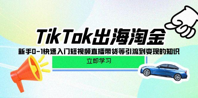 (10035期)TikTok-出海淘金，新手0-1快速入门短视频直播带货等引流到变现的知识-木白网创