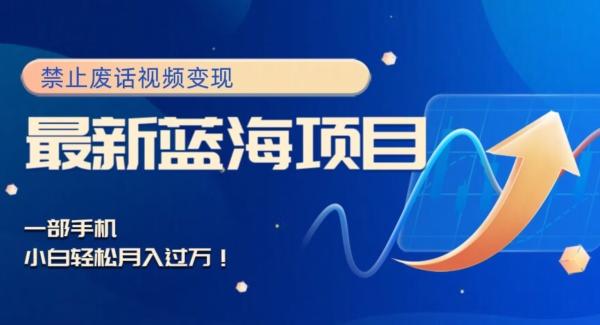 最新蓝海项目，靠禁止废话视频变现，一部手机，小白轻松月入过万！-木白网创