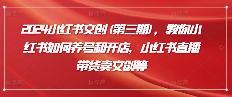 2024小红书文创(第三期)，教你小红书如何养号和开店，小红书直播带货卖文创等-木白网创
