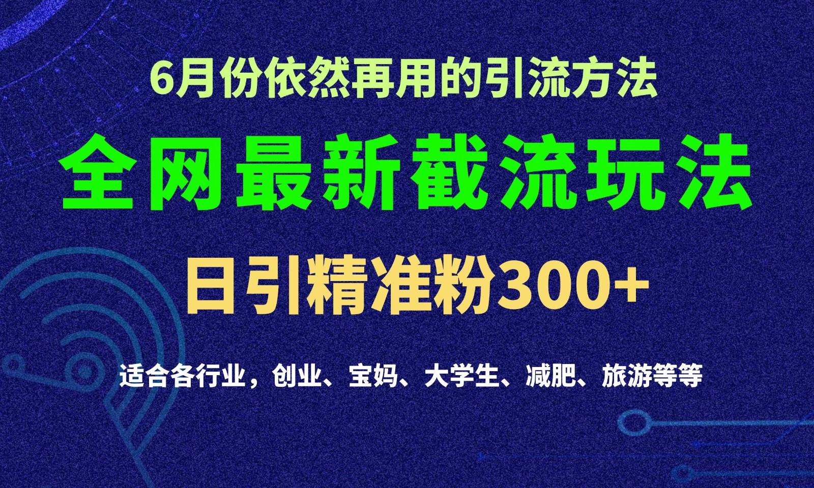2024全网最新截留玩法，每日引流突破300+-木白网创