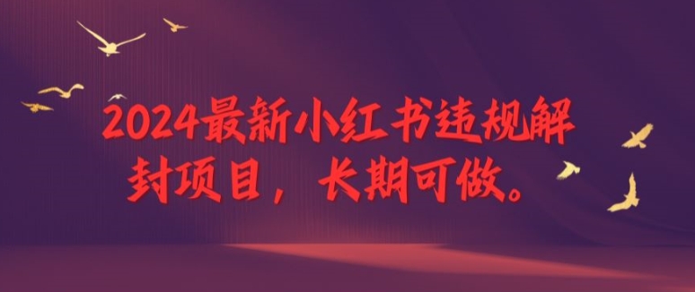 2024最新小红书违规解封项目，长期可做，一个可以做到退休的项目【揭秘】-木白网创