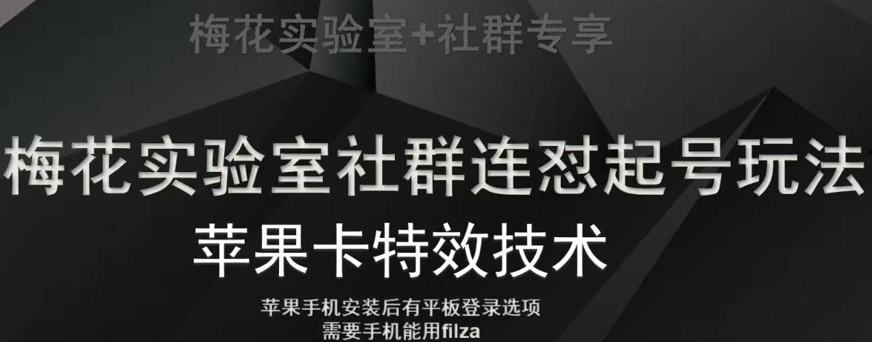 梅花实验室社群视频号连怼起号玩法，最新苹果卡特效技术-木白网创