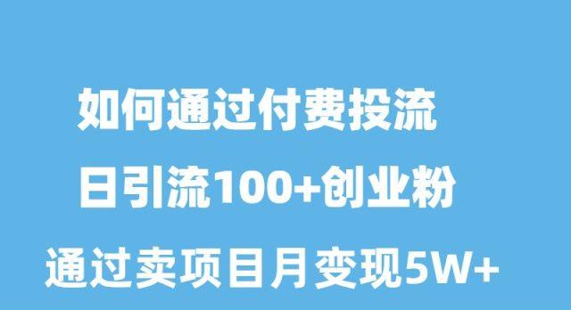 如何通过付费投流日引流100+创业粉月变现5W+-木白网创