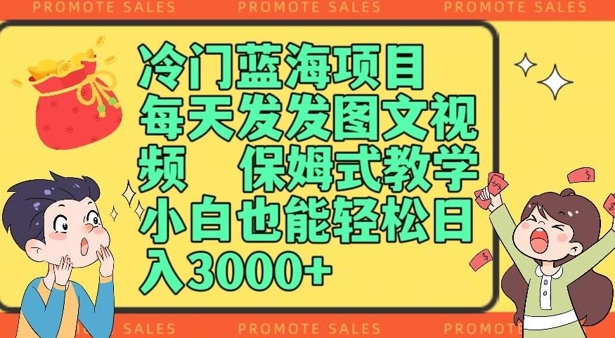 冷门蓝海项目，每天发发图文视频，保姆式教学，小白也能轻松日入3000+-木白网创