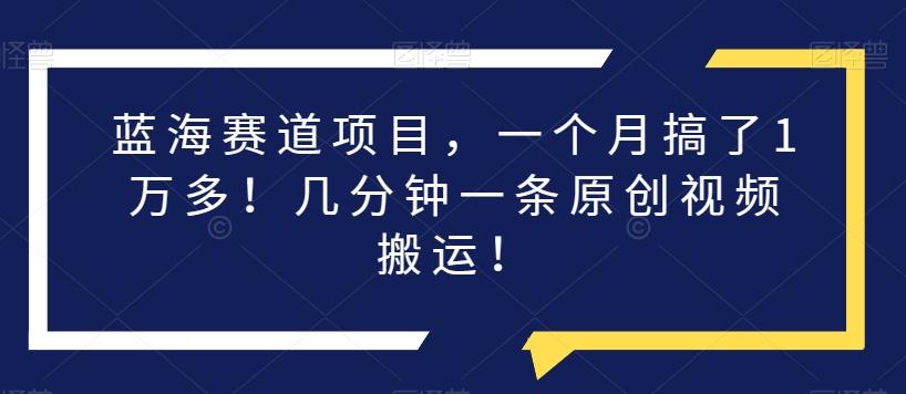 蓝海赛道项目，一个月搞了1万多！几分钟一条原创视频搬运！-木白网创