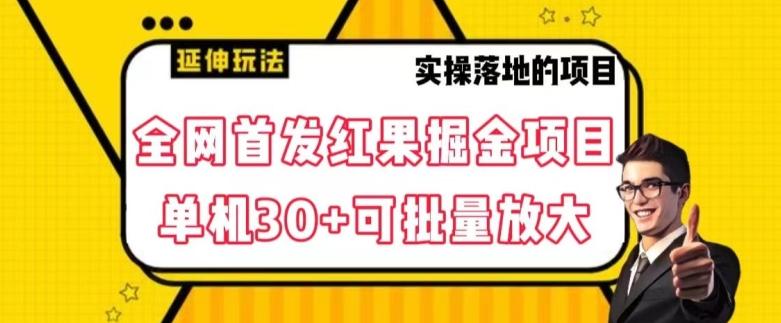 全网首发红果免费短剧掘金项目，单机30+可批量放大【揭秘】-木白网创