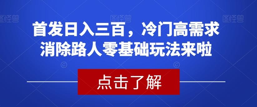 首发日入三百，冷门高需求消除路人零基础玩法来啦【揭秘】-木白网创