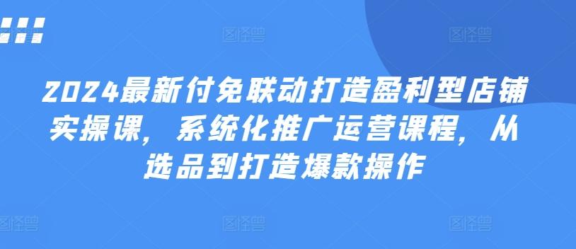 2024最新付免联动打造盈利型店铺实操课，​系统化推广运营课程，从选品到打造爆款操作-木白网创