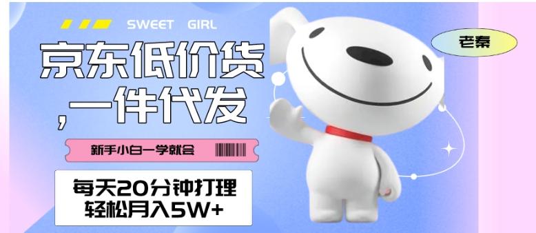 每天20分钟打理京东低价货，一件代发-轻松月入5W＋-木白网创
