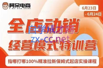 阿呆电商·全店动销经营模式特训营(线下录音+思维导图)-木白网创