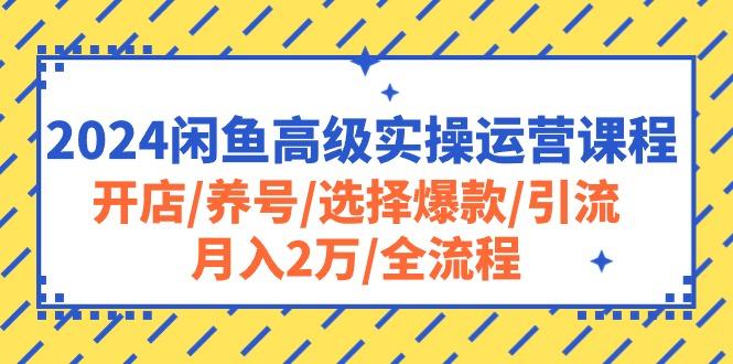 2024闲鱼高级实操运营课程：开店/养号/选择爆款/引流/月入2万/全流程-木白网创