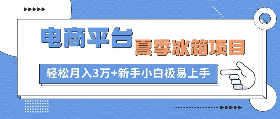电商平台夏季冰箱项目，轻松月入3万+，新手小白极易上手-木白网创