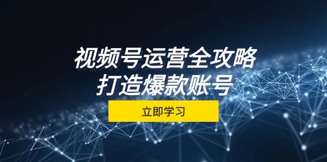 视频号运营全攻略，从定位到成交一站式学习，视频号核心秘诀，打造爆款…-木白网创
