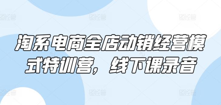 淘系电商全店动销经营模式特训营，线下课录音-木白网创