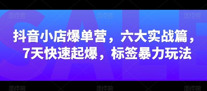 抖音小店爆单营，六大实战篇，7天快速起爆，标签暴力玩法-木白网创