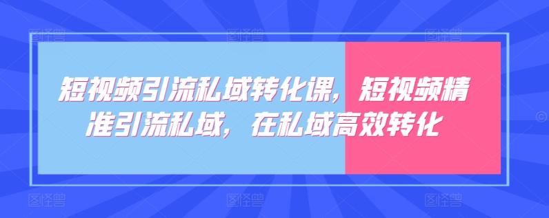 短视频引流私域转化课，短视频精准引流私域，在私域高效转化-木白网创