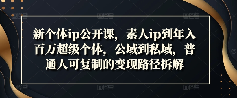 新个体ip公开课，素人ip到年入百万超级个体，公域到私域，普通人可复制的变现路径拆解-木白网创