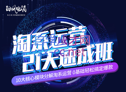 淘系运营21天速成班(更新7月)-木白网创