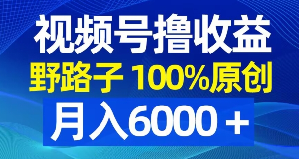 视频号野路子撸收益，100%原创，条条爆款，月入6000＋【揭秘】-木白网创