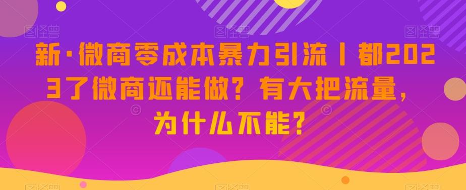 新·微商零成本暴力引流丨都2023了微商还能做？有大把流量，为什么不能？-木白网创