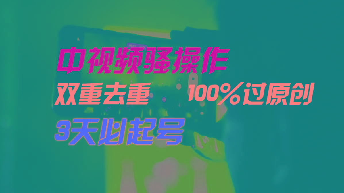中视频骚操作，双重去重100%过原创，3天比必起号，简单无脑，月入3W+-木白网创