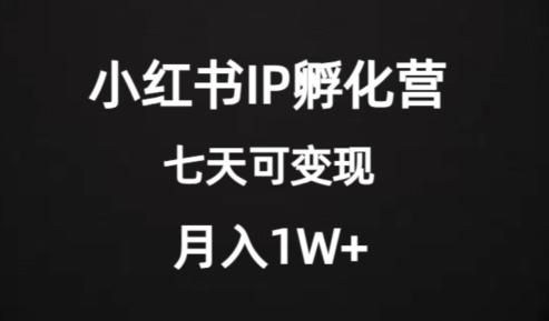 价值2000+的小红书IP孵化营项目，超级大蓝海，七天即可开始变现，稳定月入1W+-木白网创