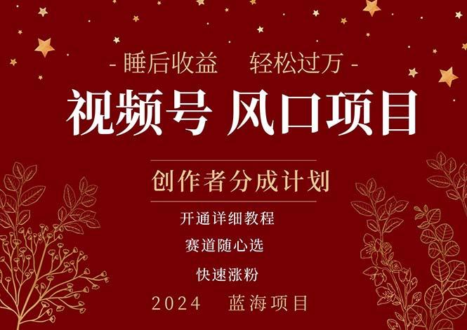 拥有睡眠收益的微信视频号大风口项目，轻松月入过万+，多赛道选择，可…-木白网创