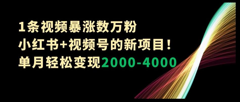 1条视频暴涨数万粉–小红书+视频号的新项目！单月轻松变现2000-4000【揭秘】-木白网创