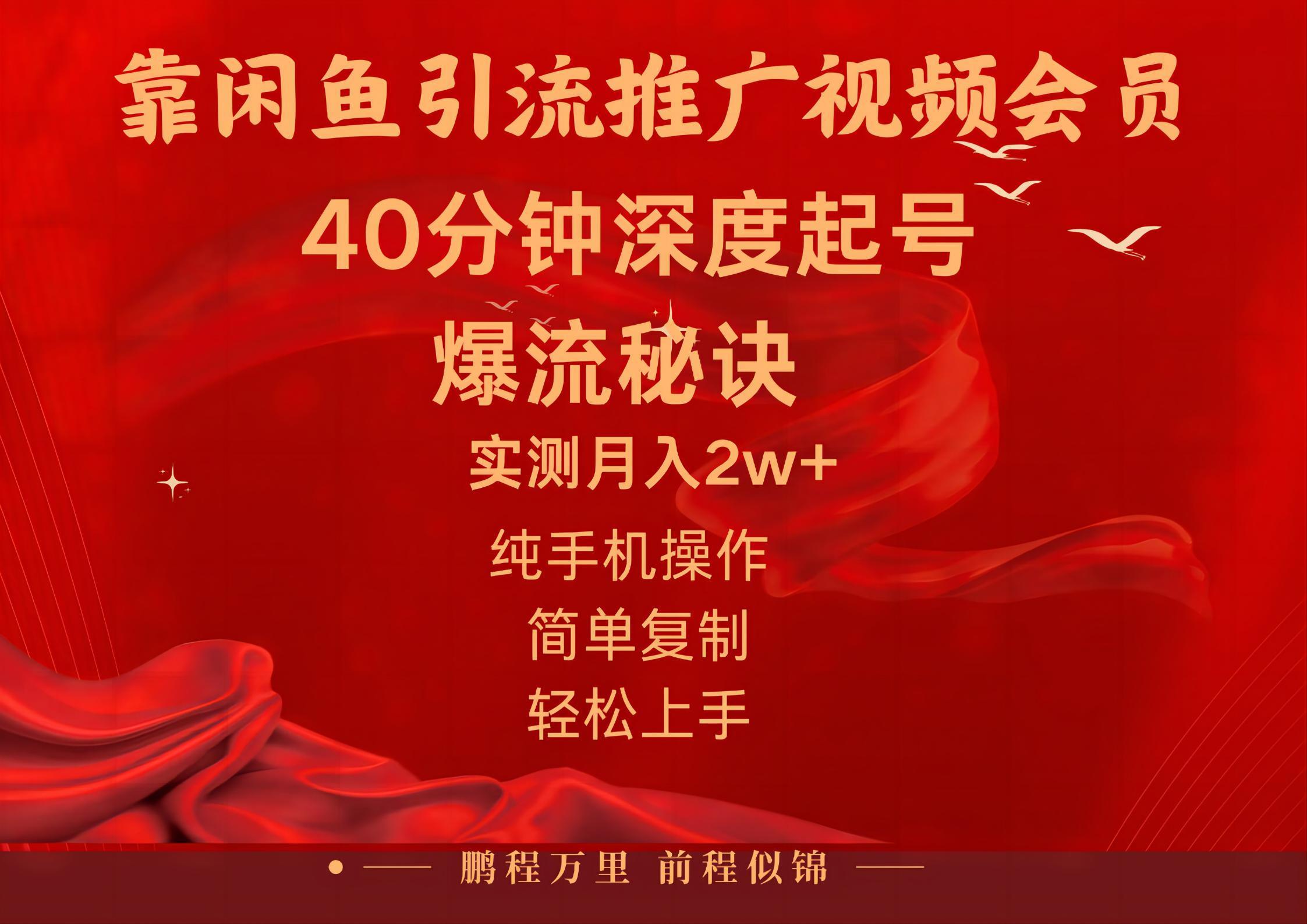 闲鱼暴力引流推广视频会员，能做到日入2W+，操作简单-木白网创