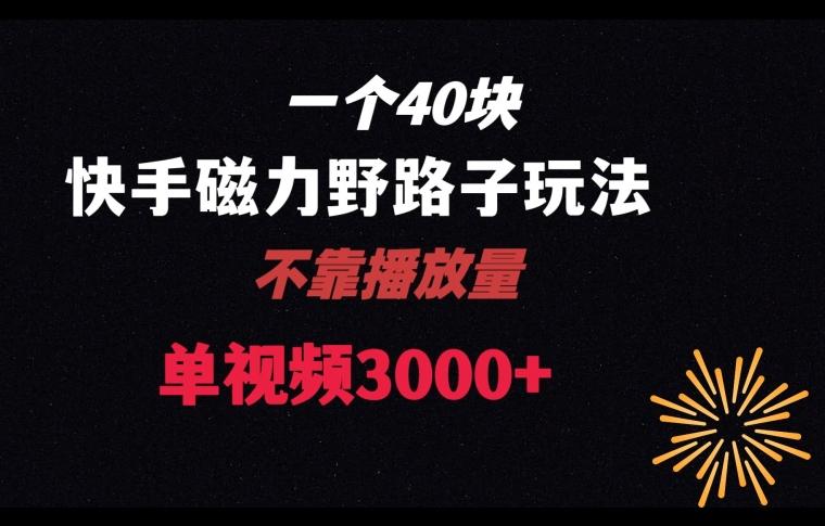 一个40块，快手联合美团磁力新玩法，无视机制野路子玩法，单视频收益4位数【揭秘】-木白网创