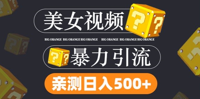 搬运tk美女视频全网分发，日引s粉300+，轻松变现，不限流量不封号【揭秘】-木白网创
