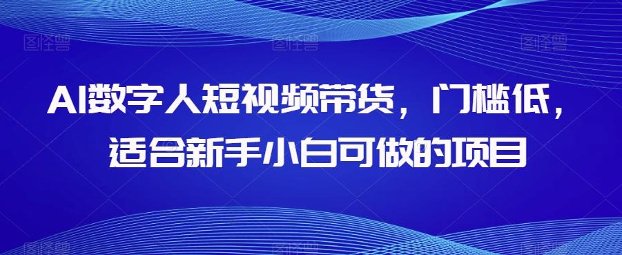 AI数字人短视频带货，门槛低，适合新手小白可做的项目-木白网创