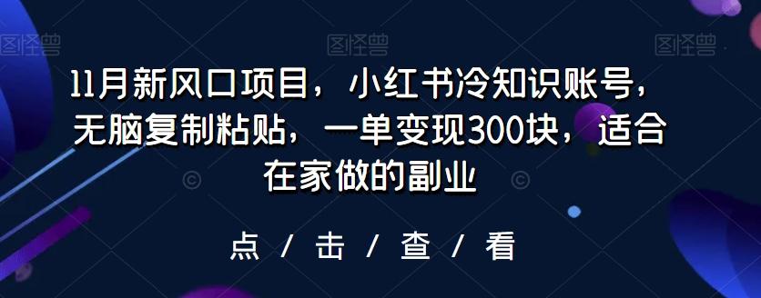 11月新风口项目，小红书冷知识账号，无脑复制粘贴，一单变现300块，适合在家做的副业-木白网创