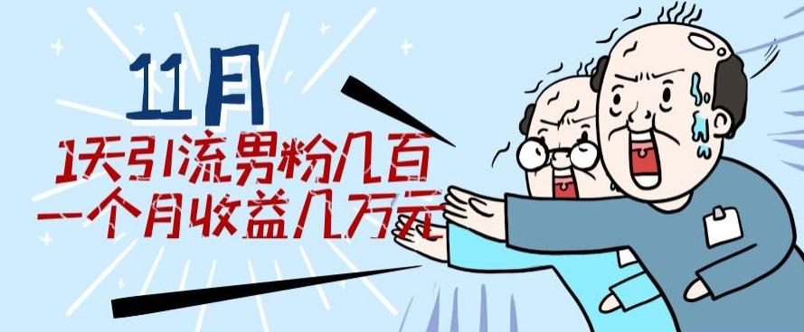 11月最新每天引流男粉300+一个月收益几万元-木白网创