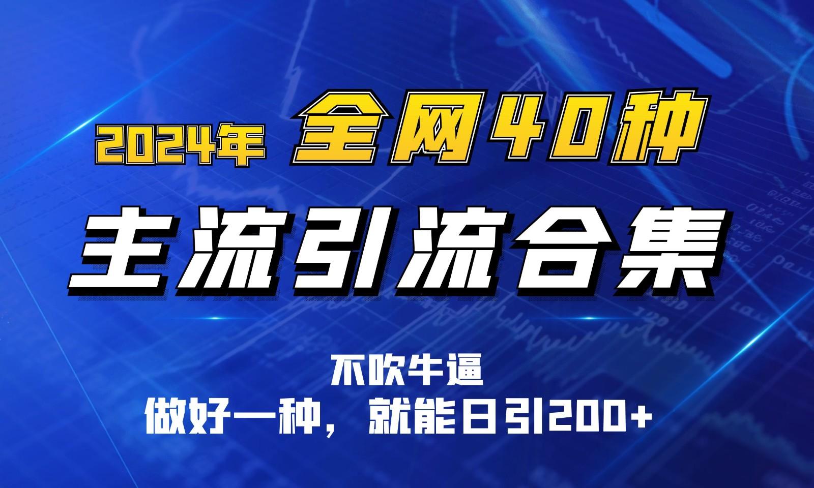 2024年全网40种暴力引流合计，做好一样就能日引100+-木白网创