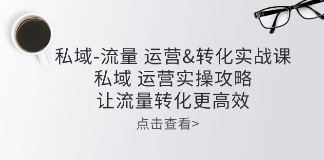 私域-流量 运营&转化实操课：私域 运营实操攻略 让流量转化更高效-木白网创