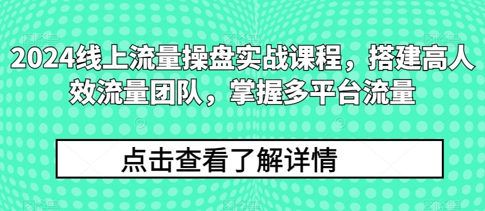 2024线上流量操盘实战课程，搭建高人效流量团队，掌握多平台流量-木白网创