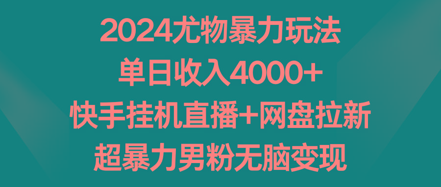2024尤物暴力玩法 单日收入4000+快手挂机直播+网盘拉新 超暴力男粉无脑变现-木白网创
